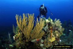 073.2023-June.-Coral-Reefs-of-the-Woirld.-73-