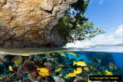075.2023-June.-Coral-Reefs-of-the-Woirld.-75-