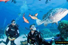086.2023-June.-Coral-Reefs-of-the-Woirld.-86-