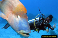 104.2023-June.-Coral-Reefs-of-the-Woirld.-104-