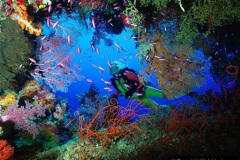 114.2023-June.-Coral-Reefs-of-the-Woirld.-114-