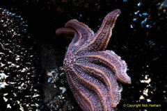 123.2023-June.-Coral-Reefs-of-the-Woirld.-123-