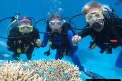 140.2023-June.-Coral-Reefs-of-the-Woirld.-140-
