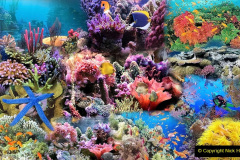 141.2023-June.-Coral-Reefs-of-the-Woirld.-141-