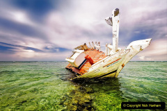 155.2023-June.-Coral-Reefs-of-the-Woirld.-155-