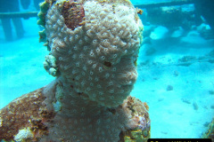 157.2023-June.-Coral-Reefs-of-the-Woirld.-157-