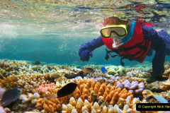 Child (girl age 5-6) snorkeling dive in the Great Barrier Reef in the tropical north of Queensland, Australia (Child (girl age 5-6) snorkeling dive in the Great Barrier Reef in the tropical north of Queensland, Australia, ASCII, 110 components, 110 by
