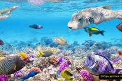 181.2023-June.-Coral-Reefs-of-the-Woirld.-181-