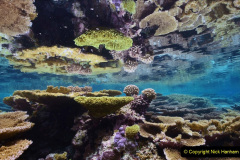 183.2023-June.-Coral-Reefs-of-the-Woirld.-183-
