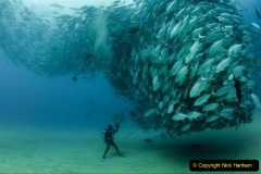 202.2023-June.-Coral-Reefs-of-the-Woirld.-202-
