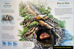 002.2023-June.-Otters.-2-