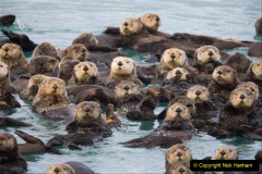 009.2023-June.-Otters.-9-