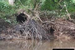 010.2023-June.-Otters.-10-