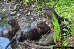 011.2023-June.-Otters.-11-