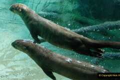 020.2023-June.-Otters.-20-