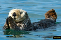 024.2023-June.-Otters.-24-