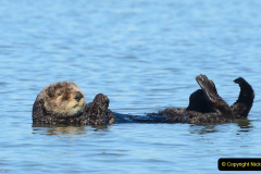 027.2023-June.-Otters.-27-