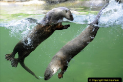 032.2023-June.-Otters.-32-