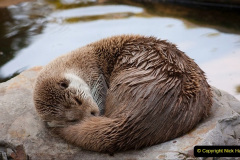 040.2023-June.-Otters.-40-