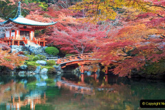 117.2023-06-13-KYOTO-Japan.-117-