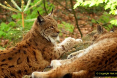 021.2023-06-13-LYNX.-21-