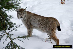 024.2023-06-13-LYNX.-24-