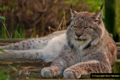 045.2023-06-13-LYNX.-45-