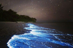 024.2023-06-13-World-Oceans-Seas.-24-