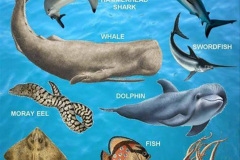 073.2023-06-13-World-Oceans-Seas.-73-