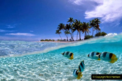 080.2023-06-13-World-Oceans-Seas.-80-