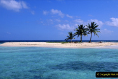 Coconut palms on a coral sand island in the blue-green waters of the Caribbean Sea off Lighthouse Reef.