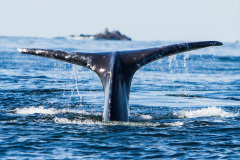 121.2023-06-13-World-Oceans-Seas.-121-