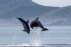 122.2023-06-13-World-Oceans-Seas.-122-