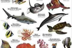 124.2023-06-13-World-Oceans-Seas.-124-
