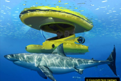 134.2023-06-13-World-Oceans-Seas.-134-