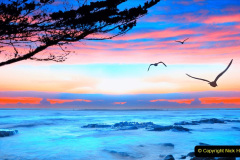 149.2023-06-13-World-Oceans-Seas.-149-