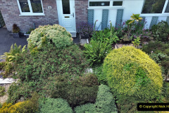 007.A Poole Garden DRONE. (7)