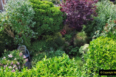 015.A Poole Garden DRONE. (15)