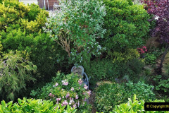 016.A Poole Garden DRONE. (16)