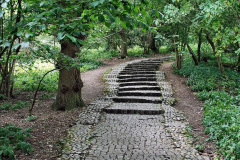 033.2023-06-26-Runnymede-Surrey.-33-