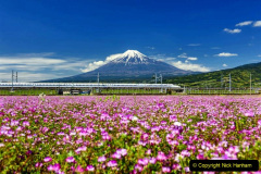 089.2023-03-01-Mt.-Fuji-Japan.-89-