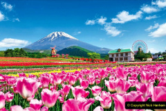093.2023-03-01-Mt.-Fuji-Japan.-93-