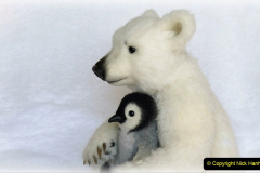 045.2023-03-02-Polar-Bears.-45-