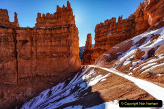 083.2023-03-03-Bryce-Canyon-USA.-83-