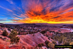 089.2023-03-03-Bryce-Canyon-USA.-89-