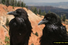 092.2023-03-03-Bryce-Canyon-USA.-92-