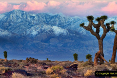071.2023-03-04-Dearh-Valley-USA.-71-