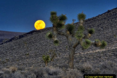 094.2023-03-04-Dearh-Valley-USA.-94-