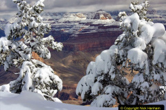 094.2023-03-04-The-Grand-Canyon-USA.-94-