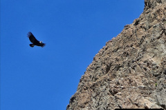 104.2023-03-04-The-Grand-Canyon-USA.-104-